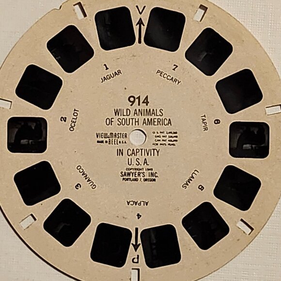 VINTAGE View Master Wild Animals of South America in Captivity REEL SLIDE 1949 - Picture 2 of 3